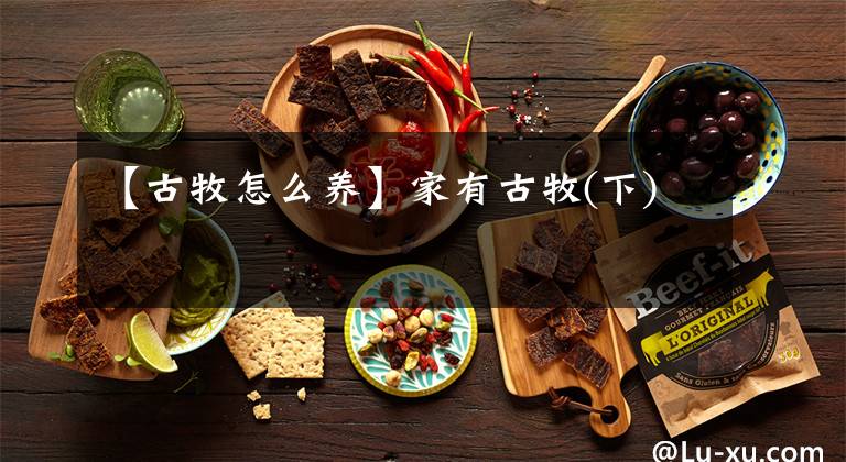 【古牧怎么养】家有古牧(下)