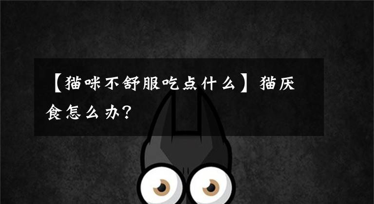 【猫咪不舒服吃点什么】猫厌食怎么办？