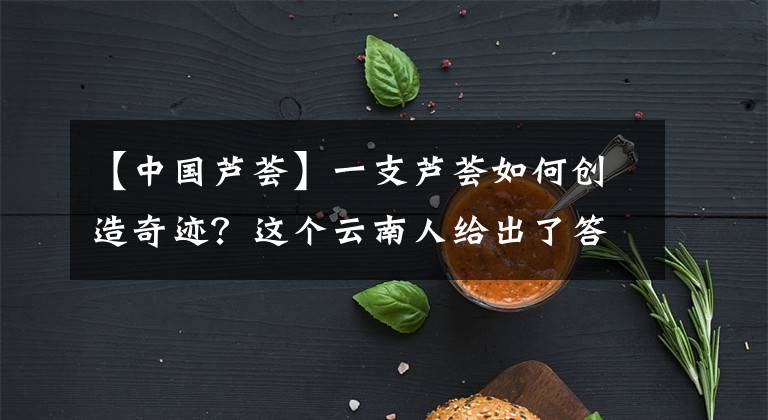【中国芦荟】一支芦荟如何创造奇迹？这个云南人给出了答案