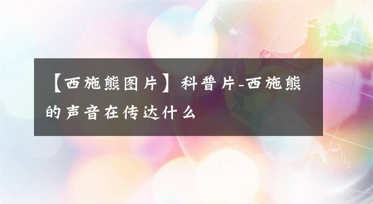 【西施熊图片】科普片-西施熊的声音在传达什么
