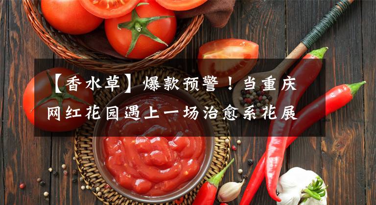 【香水草】爆款预警！当重庆网红花园遇上一场治愈系花展，还有一片香水草花田