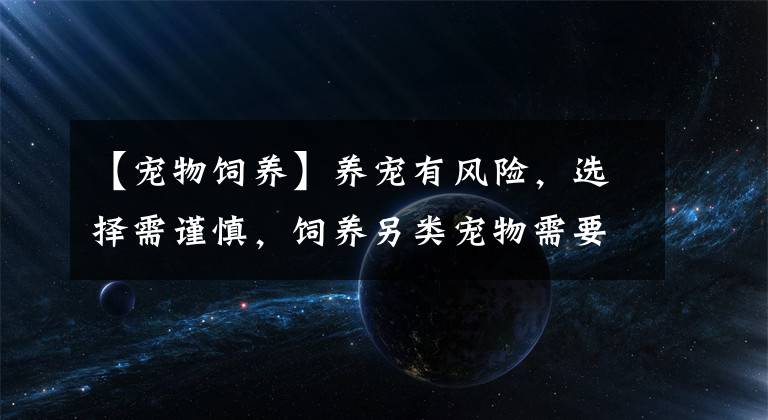【宠物饲养】养宠有风险，选择需谨慎，饲养另类宠物需要注意什么？