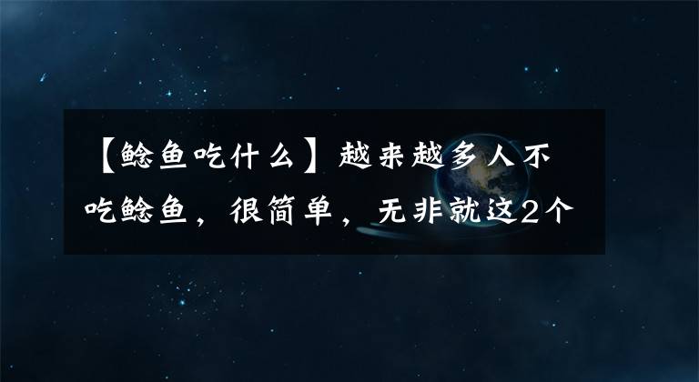 【鲶鱼吃什么】越来越多人不吃鲶鱼，很简单，无非就这2个原因