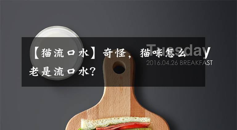 【猫流口水】奇怪，猫咪怎么老是流口水？