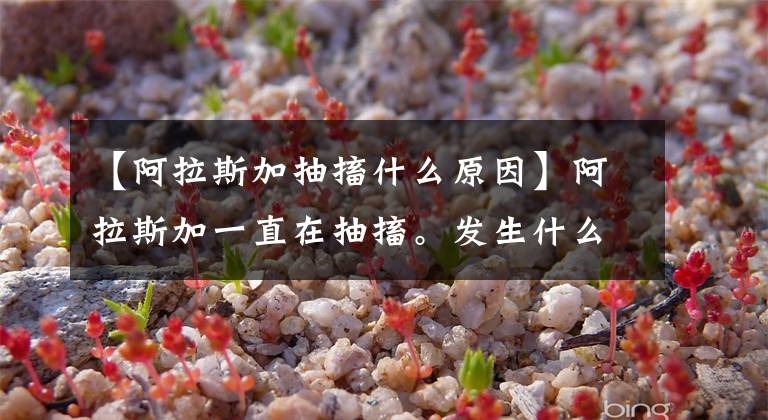 【阿拉斯加抽搐什么原因】阿拉斯加一直在抽搐。发生什么事了？阿拉斯加的狗一直在发抖。怎么办？