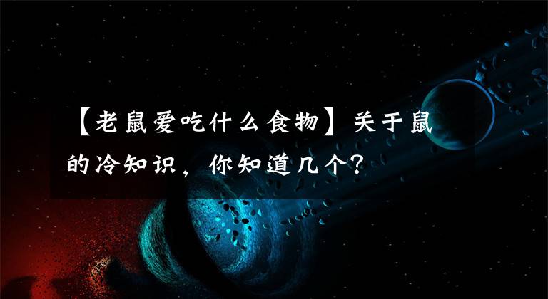 【老鼠爱吃什么食物】关于鼠的冷知识，你知道几个？