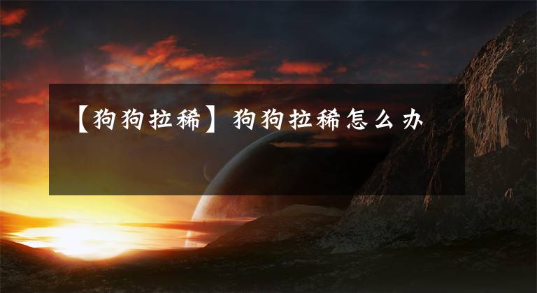 【狗狗拉稀】狗狗拉稀怎么办