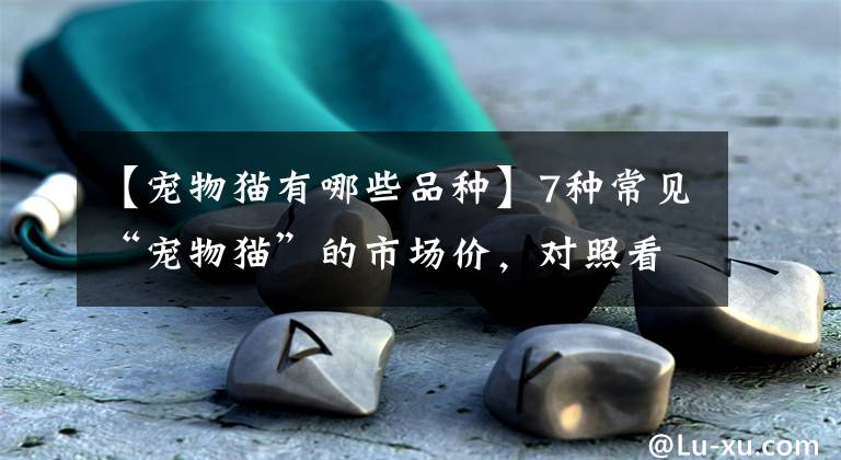 【宠物猫有哪些品种】7种常见“宠物猫”的市场价，对照看看，你买贵了吗？