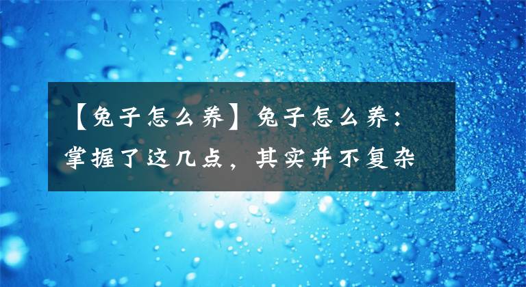 【兔子怎么养】兔子怎么养：掌握了这几点，其实并不复杂