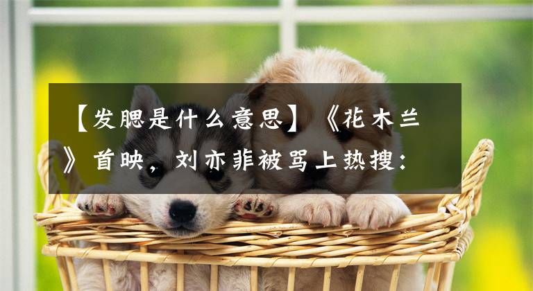 【发腮是什么意思】《花木兰》首映，刘亦菲被骂上热搜：你长这么好看，肯定没本事吧