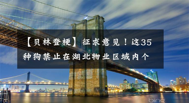 【贝林登梗】征求意见！这35种狗禁止在湖北物业区域内个人饲养！哈士奇、萨摩耶上榜