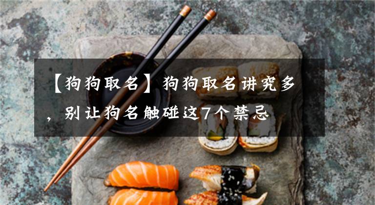 【狗狗取名】狗狗取名讲究多，别让狗名触碰这7个禁忌