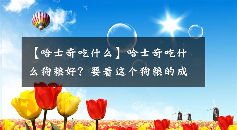【哈士奇吃什么】哈士奇吃什么狗粮好？要看这个狗粮的成分，还要看狗狗的体质