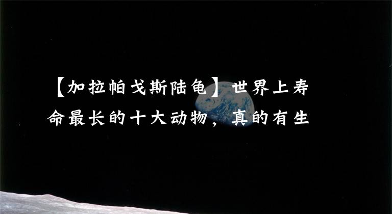 【加拉帕戈斯陆龟】世界上寿命最长的十大动物，真的有生物能“长生不老”吗？