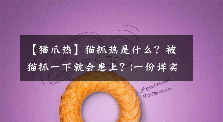 【猫爪热】猫抓热是什么？被猫抓一下就会患上？|一份详实的猫抓热疾病指南