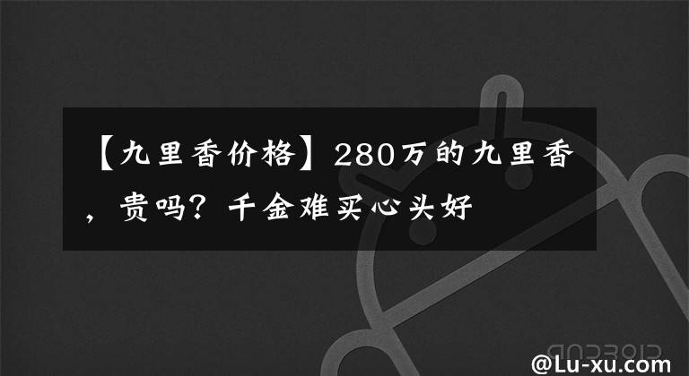 【九里香价格】280万的九里香，贵吗？千金难买心头好