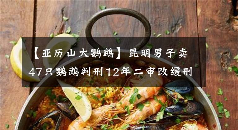 【亚历山大鹦鹉】昆明男子卖47只鹦鹉判刑12年二审改缓刑：交易人工繁育保护动物正低调轻罪化