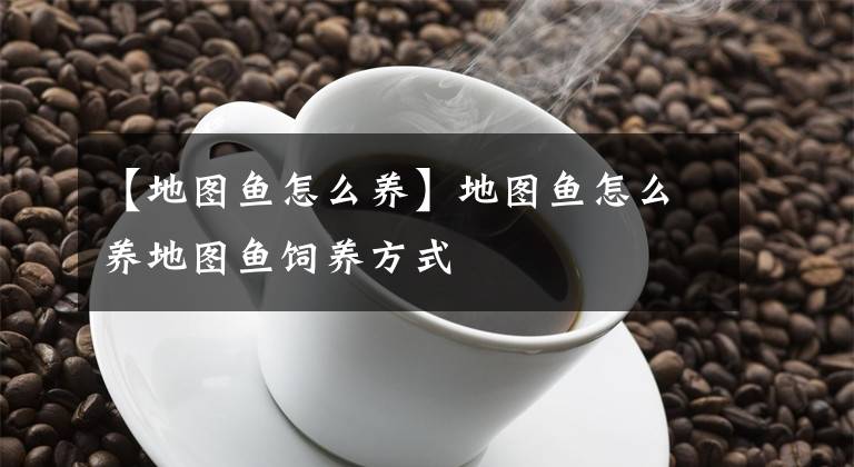 【地图鱼怎么养】地图鱼怎么养地图鱼饲养方式