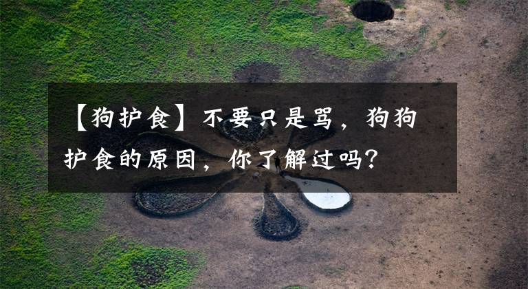 【狗护食】不要只是骂，狗狗护食的原因，你了解过吗？