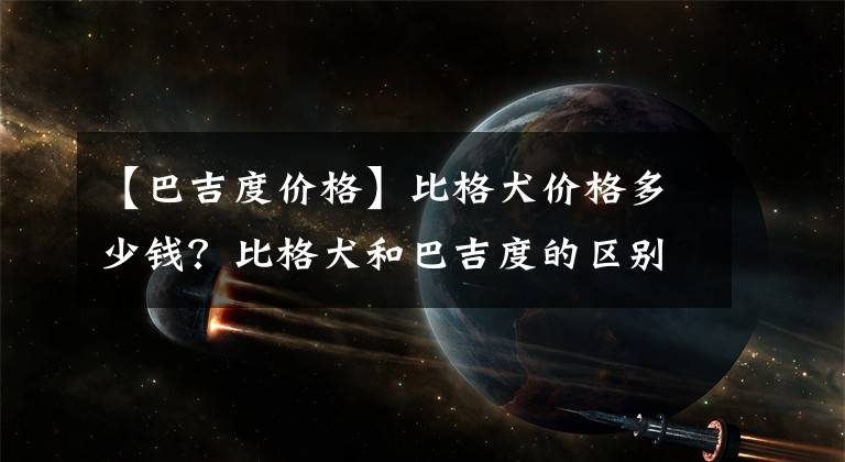 【巴吉度价格】比格犬价格多少钱？比格犬和巴吉度的区别？