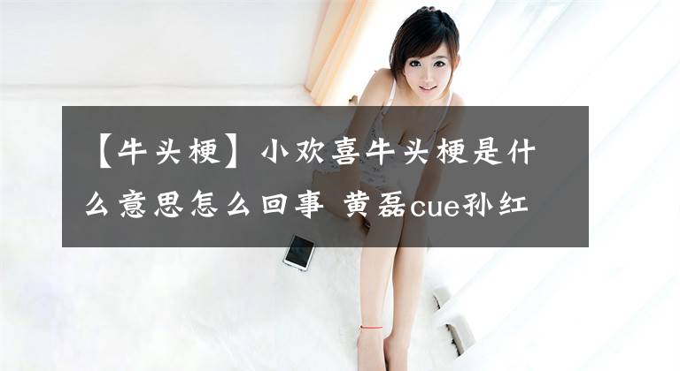 【牛头梗】小欢喜牛头梗是什么意思怎么回事 黄磊cue孙红雷是哪一集