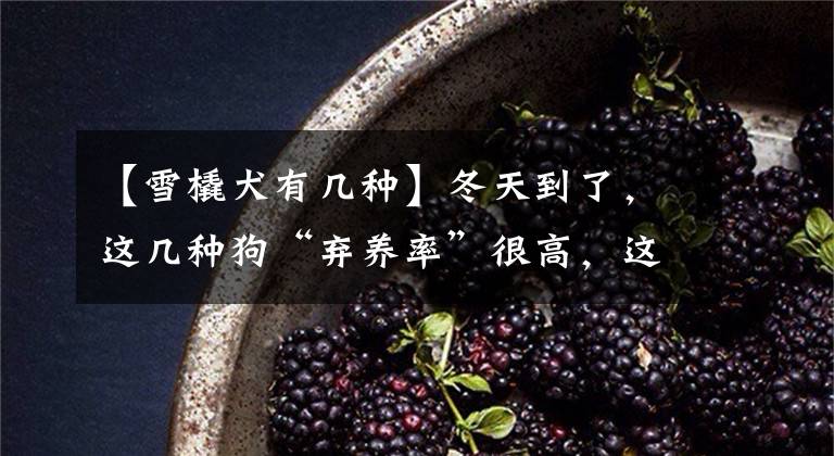 【雪橇犬有几种】冬天到了，这几种狗“弃养率”很高，这是为什么？