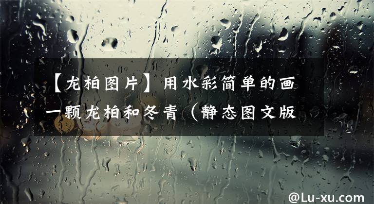 【龙柏图片】用水彩简单的画一颗龙柏和冬青（静态图文版）