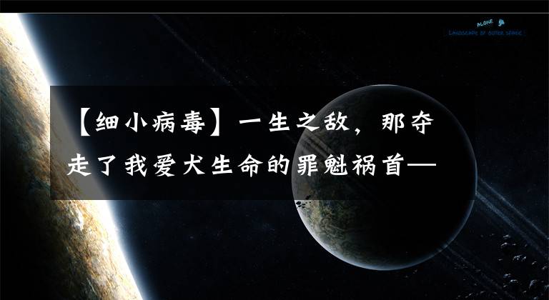 【细小病毒】一生之敌，那夺走了我爱犬生命的罪魁祸首——犬细小病毒