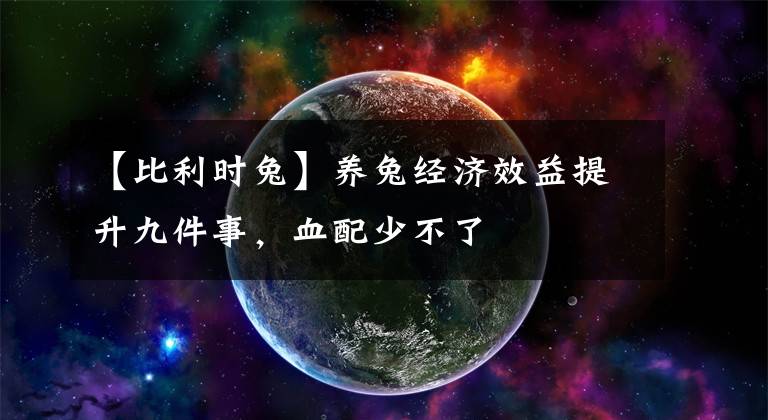 【比利时兔】养兔经济效益提升九件事，血配少不了