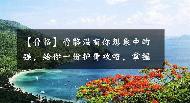 【骨骼】骨骼没有你想象中的强，给你一份护骨攻略，掌握24小时护骨法