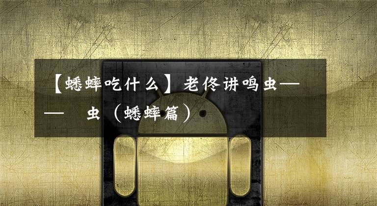 【蟋蟀吃什么】老佟讲鸣虫——蚡虫（蟋蟀篇）