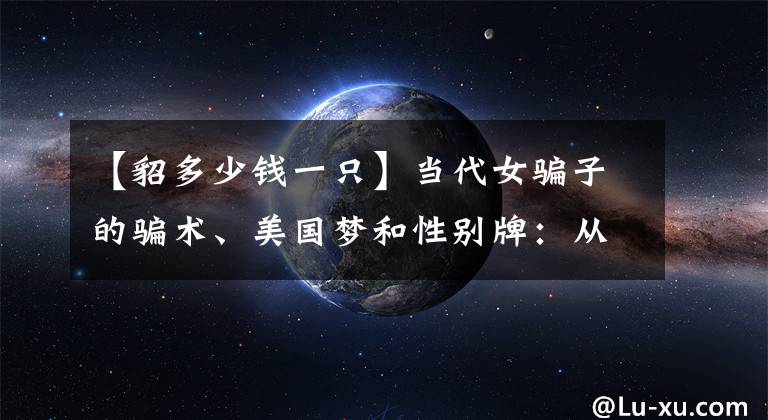 【貂多少钱一只】当代女骗子的骗术、美国梦和性别牌：从《虚构安娜》和《坏血》谈起