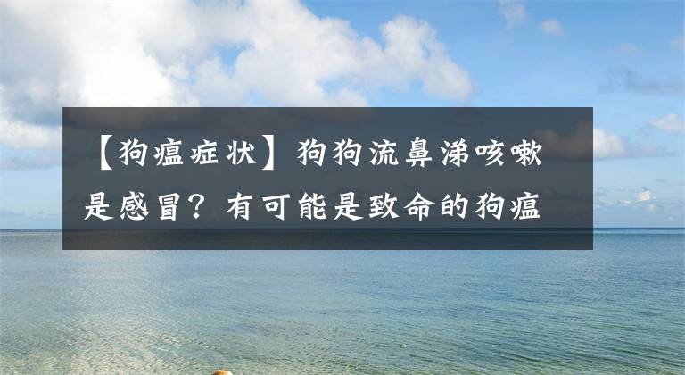【狗瘟症状】狗狗流鼻涕咳嗽是感冒？有可能是致命的狗瘟！如何区分感冒与狗瘟