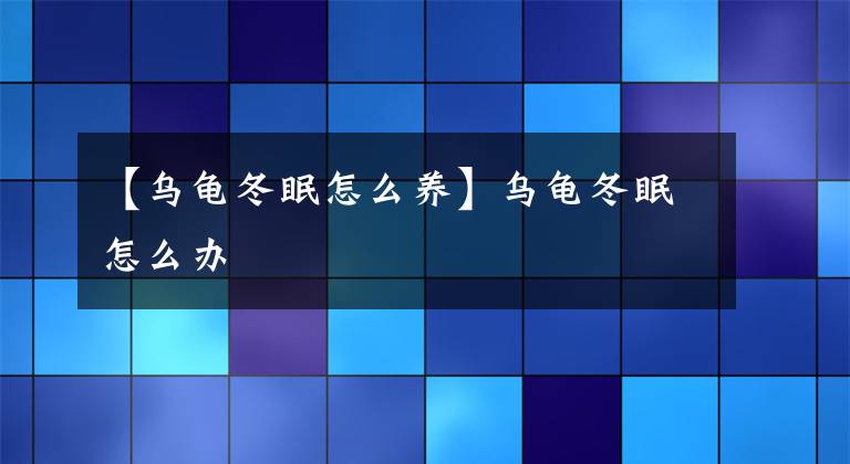 【乌龟冬眠怎么养】乌龟冬眠怎么办