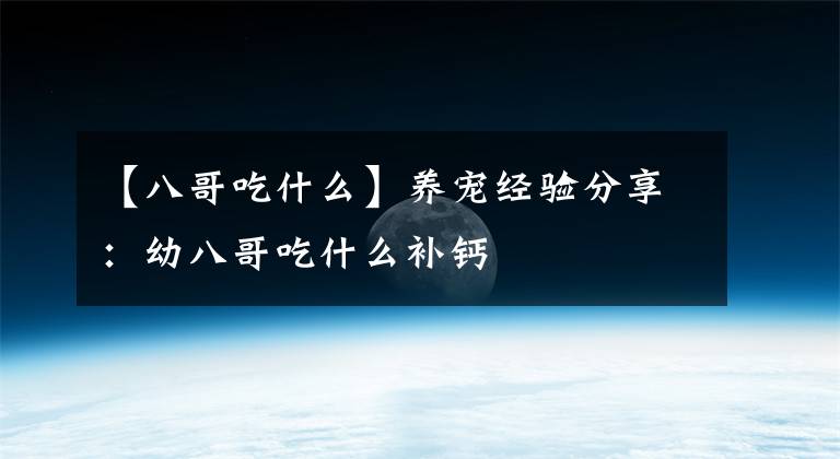 【八哥吃什么】养宠经验分享：幼八哥吃什么补钙