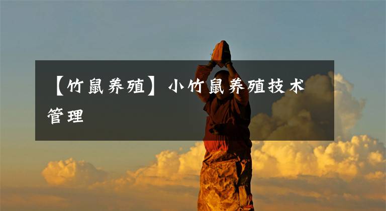 【竹鼠养殖】小竹鼠养殖技术管理