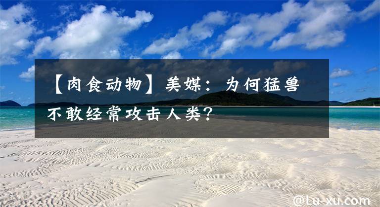 【肉食动物】美媒：为何猛兽不敢经常攻击人类？