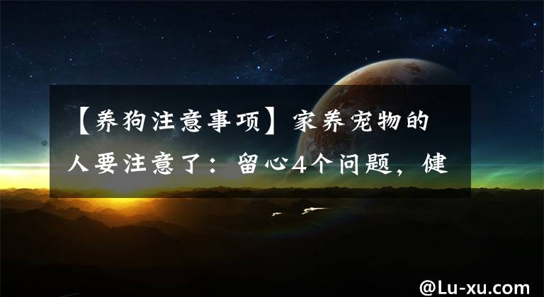 【养狗注意事项】家养宠物的人要注意了：留心4个问题，健康不被“打扰”