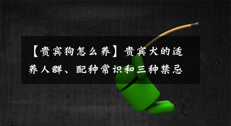 【贵宾狗怎么养】贵宾犬的适养人群、配种常识和三种禁忌！