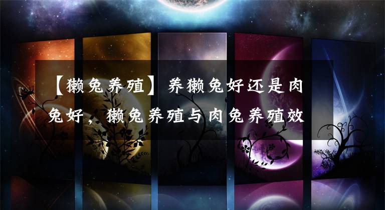【獭兔养殖】养獭兔好还是肉兔好，獭兔养殖与肉兔养殖效益分析