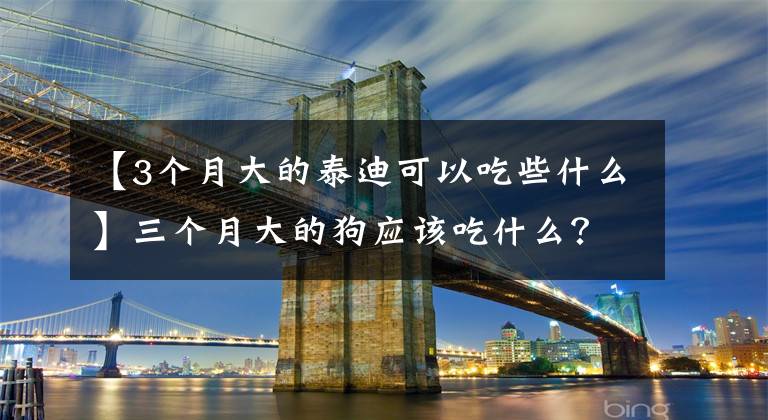 【3个月大的泰迪可以吃些什么】三个月大的狗应该吃什么？早点吃狗粮吗？