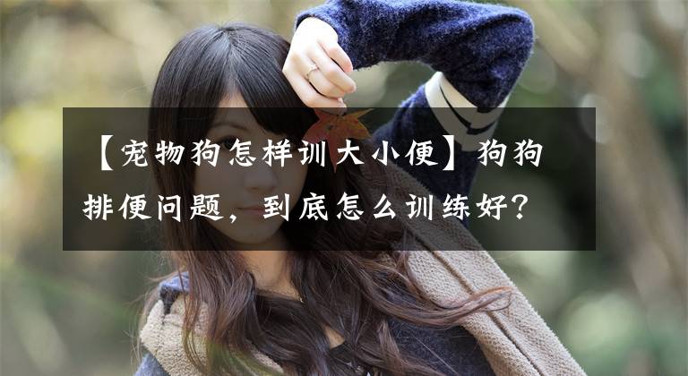 【宠物狗怎样训大小便】狗狗排便问题，到底怎么训练好？超简单详细的方法在这里