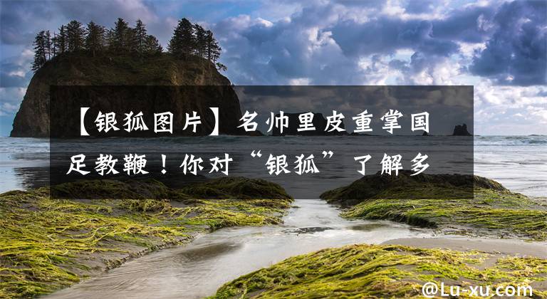 【银狐图片】名帅里皮重掌国足教鞭！你对“银狐”了解多少？