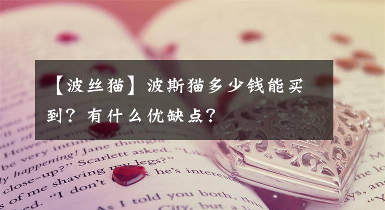 【波丝猫】波斯猫多少钱能买到？有什么优缺点？
