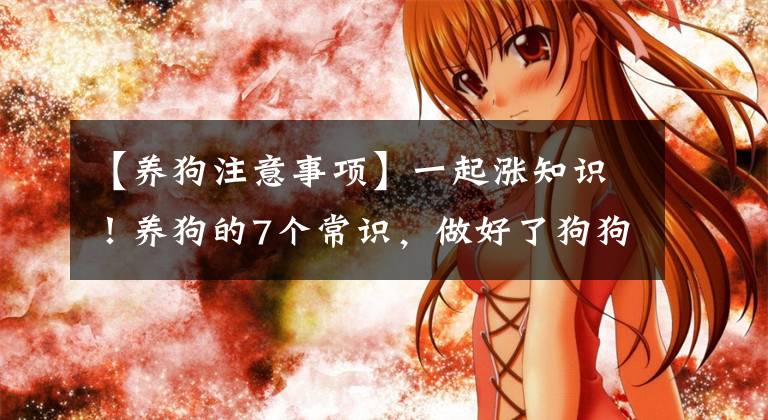 【养狗注意事项】一起涨知识！养狗的7个常识，做好了狗狗更健康