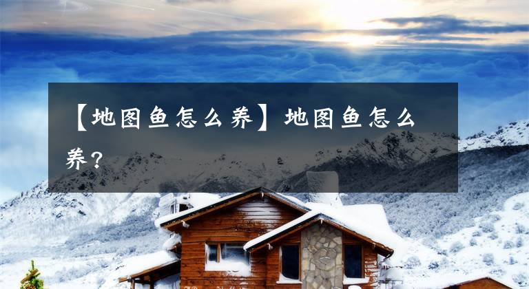 【地图鱼怎么养】地图鱼怎么养?