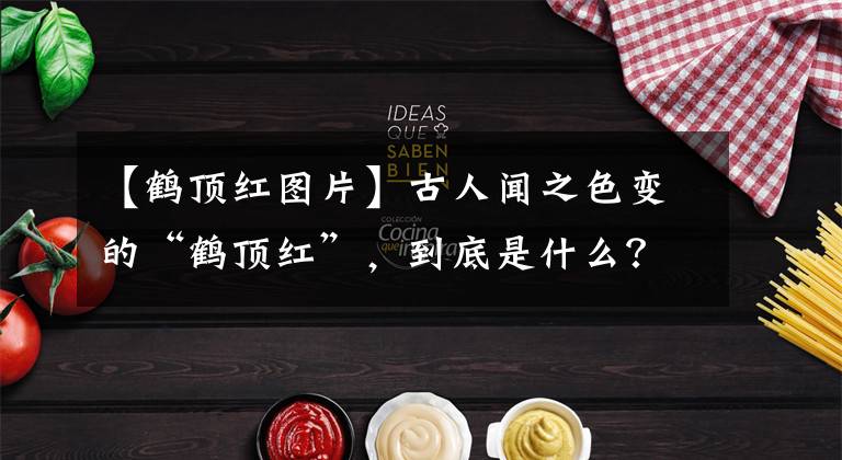 【鹤顶红图片】古人闻之色变的“鹤顶红”，到底是什么？其实如今很常见