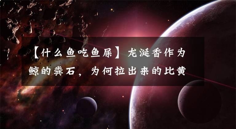 【什么鱼吃鱼屎】龙涎香作为鲸的粪石，为何拉出来的比黄金贵，人工取出的却恶臭？