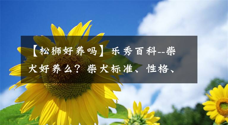 【松狮好养吗】乐秀百科--柴犬好养么？柴犬标准、性格、寿命、如何挑选柴犬