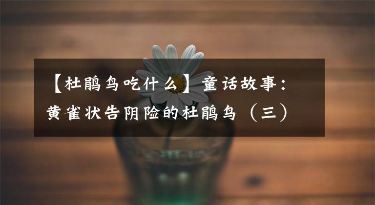 【杜鹃鸟吃什么】童话故事：黄雀状告阴险的杜鹃鸟（三）